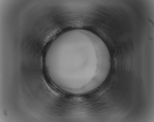 X0000101210638200807181419