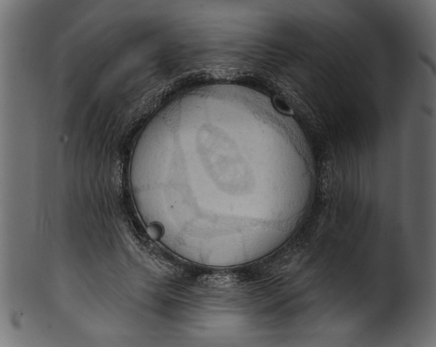 X0000101210639200807181419