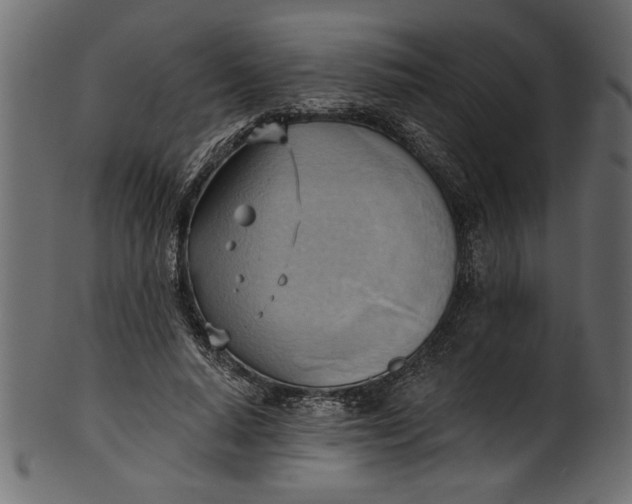 X0000101210640200807181419