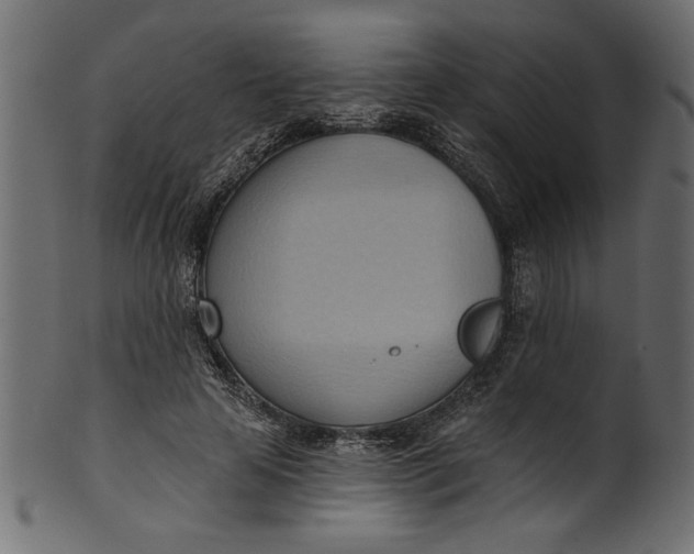 X0000101210641200807181419