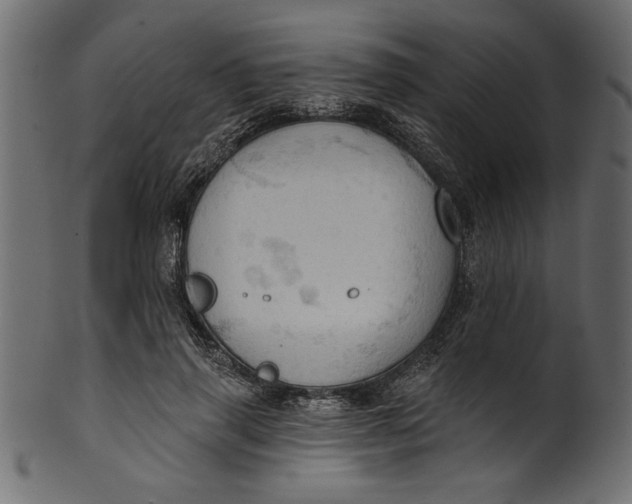 X0000101210645200807181419