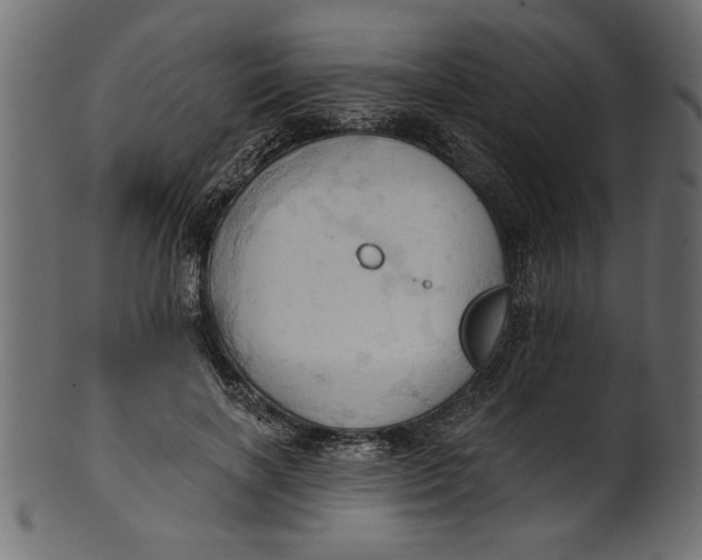 X0000101210646200807181419