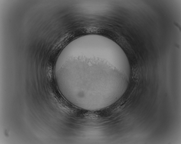 X0000101210648200807181419