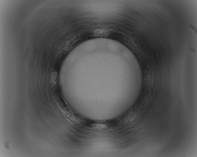 X0000101210649200807181419