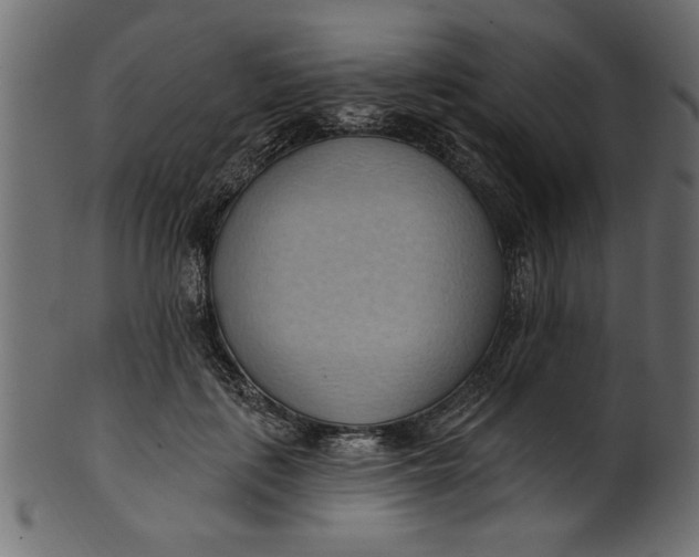 X0000101210651200807181419