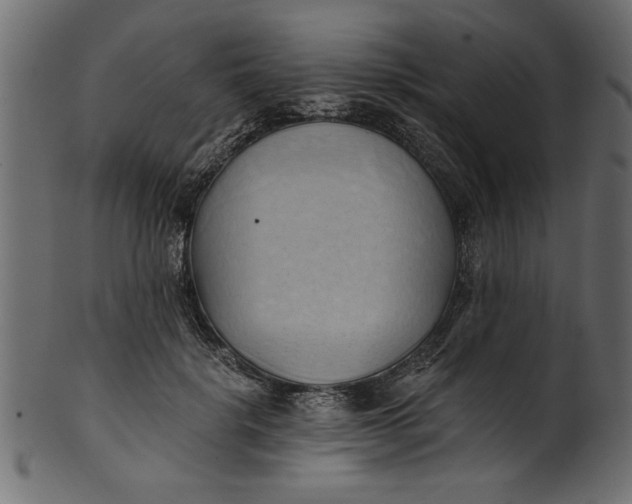 X0000101210652200807181419