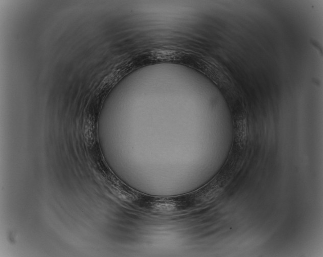 X0000101210653200807181419