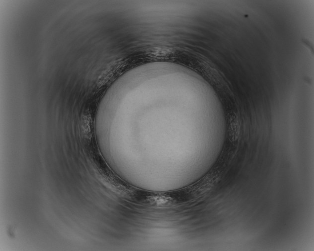 X0000101210654200807181419