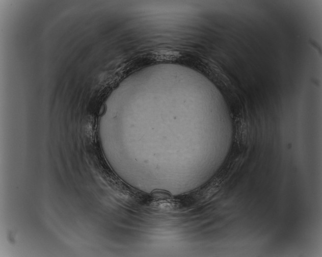 X0000101210655200807181419