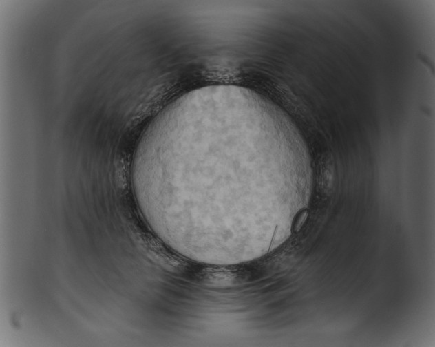 X0000101210658200807181419