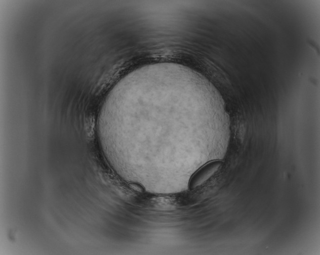 X0000101210660200807181419