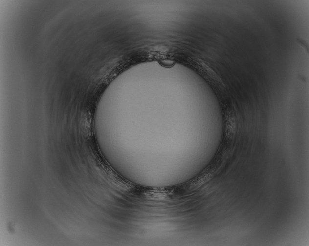 X0000101210661200807181419