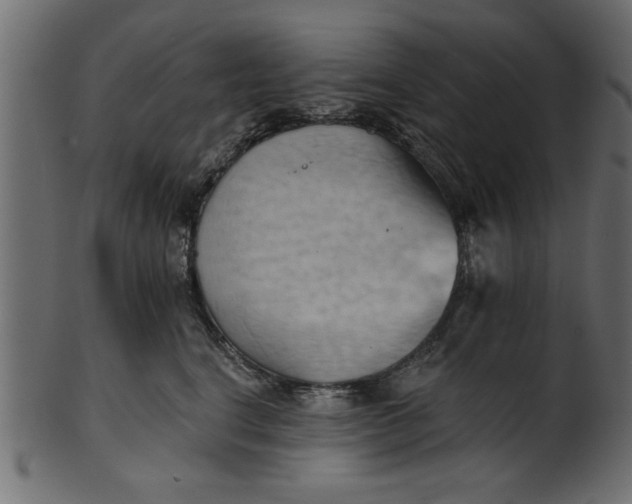 X0000101210664200807181419