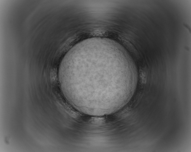 X0000101210665200807181419