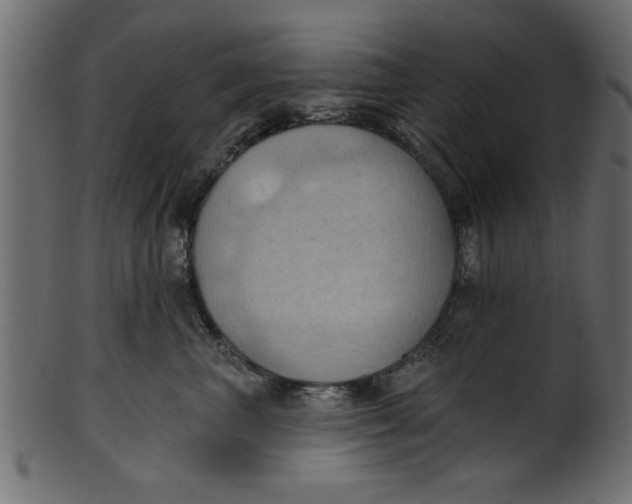 X0000101210667200807181419