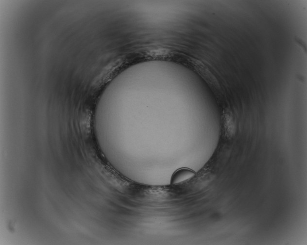 X0000101210668200807181419