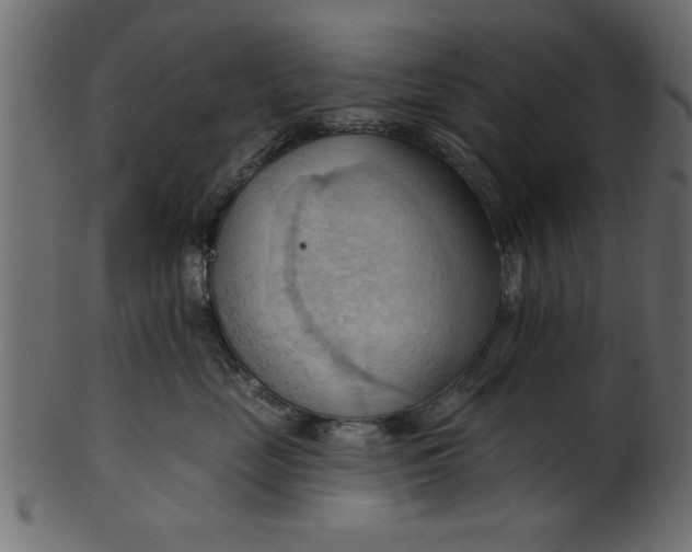 X0000101210669200807181419