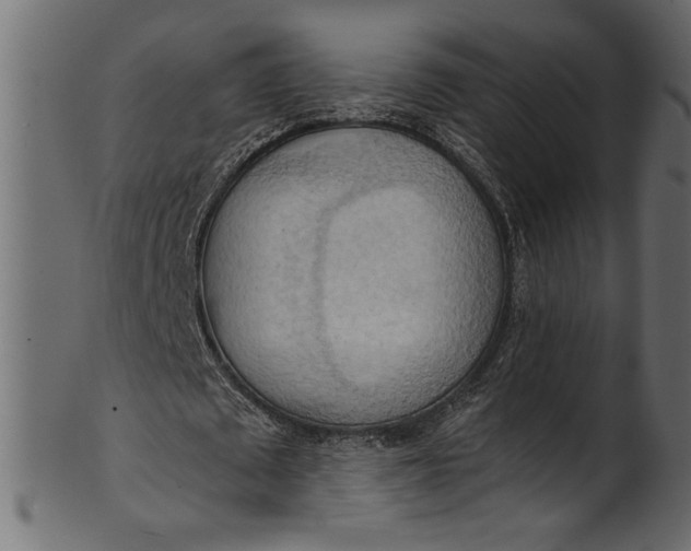 X0000101210673200807181419