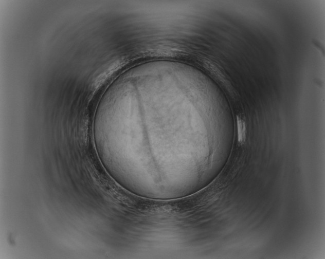 X0000101210675200807181419