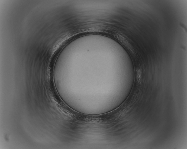 X0000101210676200807181419