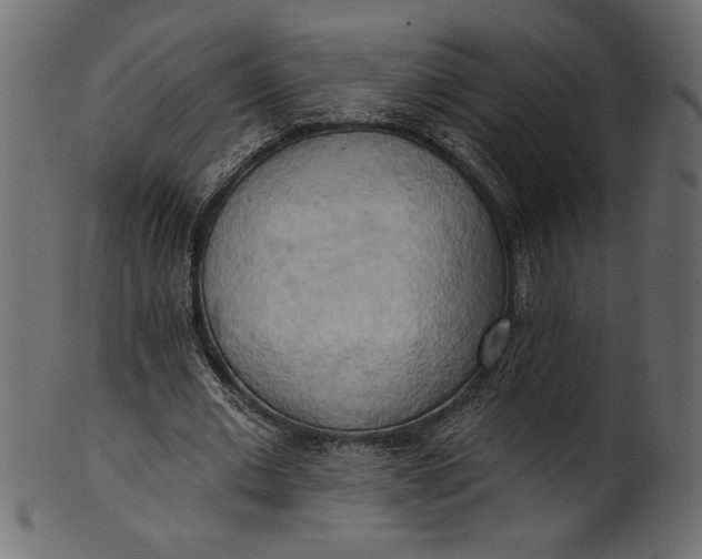 X0000101210677200807181419