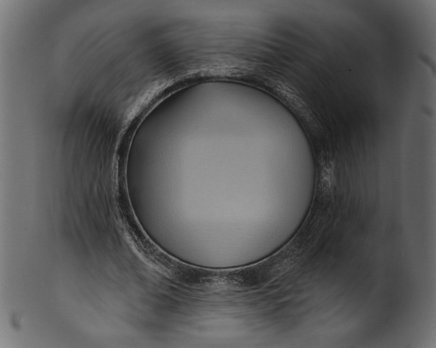 X0000101210678200807181419