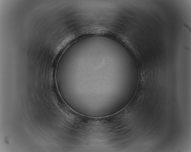 X0000101210679200807181419