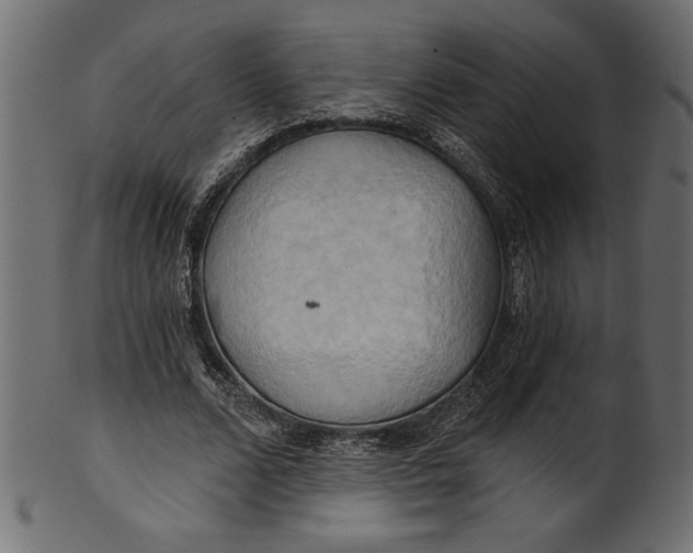 X0000101210680200807181419