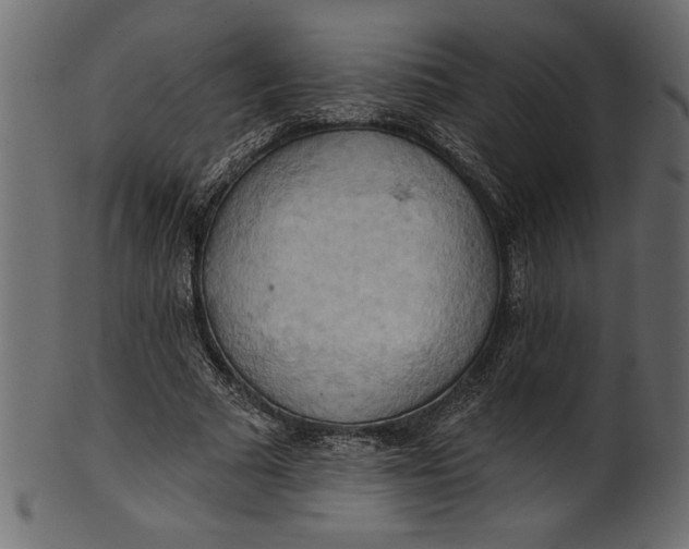 X0000101210681200807181419