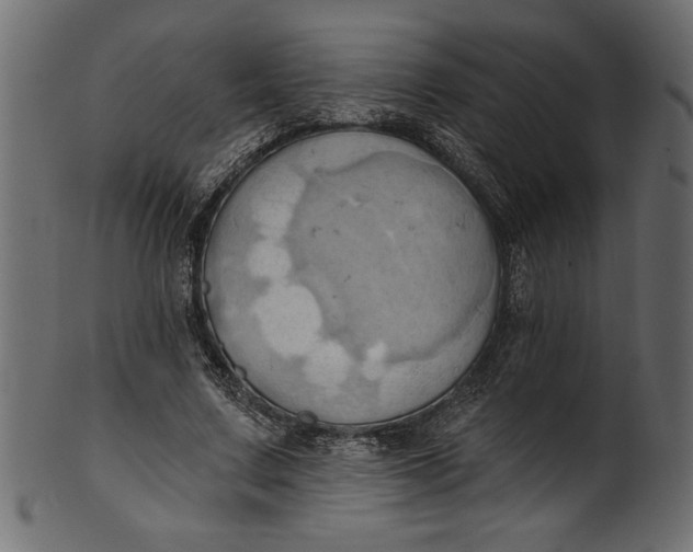 X0000101210683200807181419