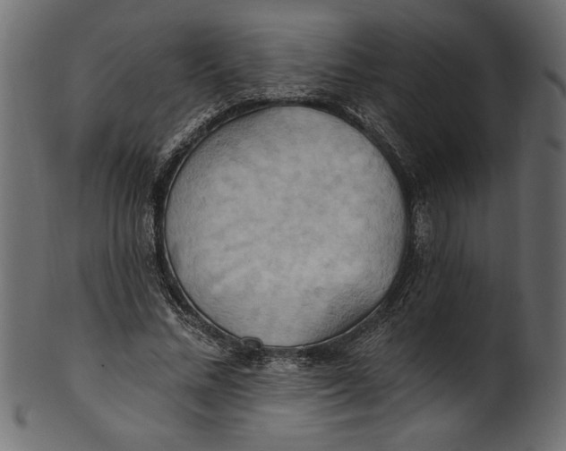 X0000101210684200807181419