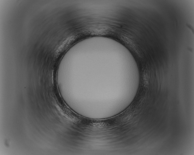 X0000101210686200807181418