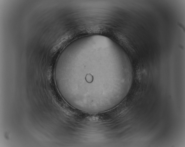 X0000101210687200807181418