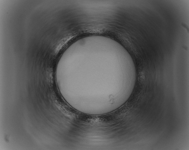 X0000101210688200807181418