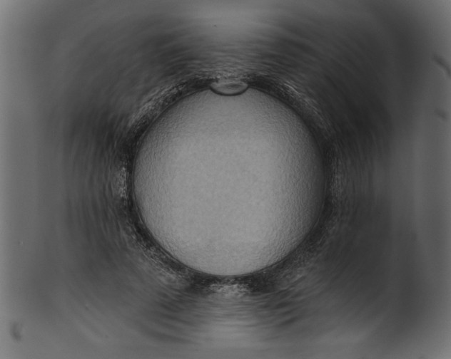 X0000101210689200807181418