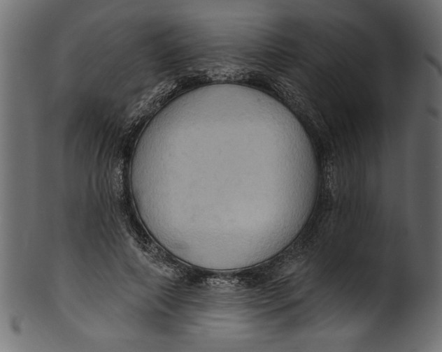 X0000101210690200807181418