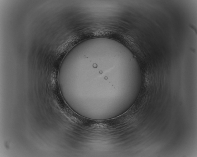 X0000101210691200807181418