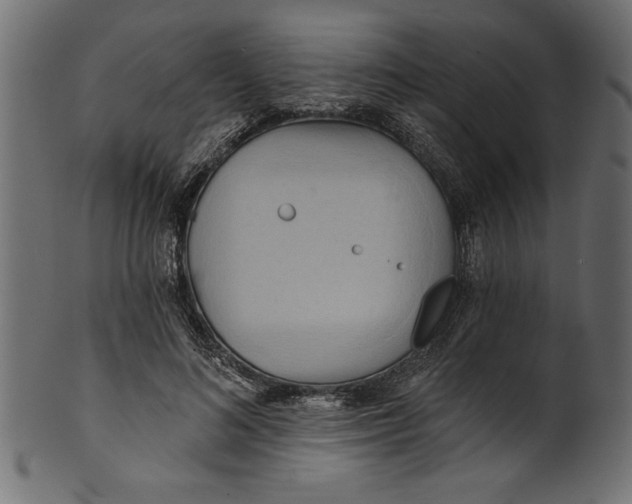 X0000101210692200807181418