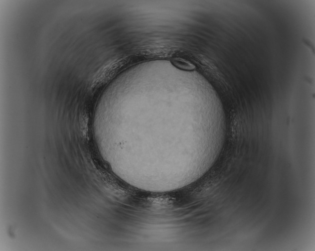 X0000101210693200807181418