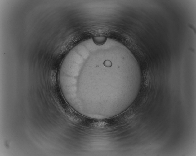 X0000101210695200807181418