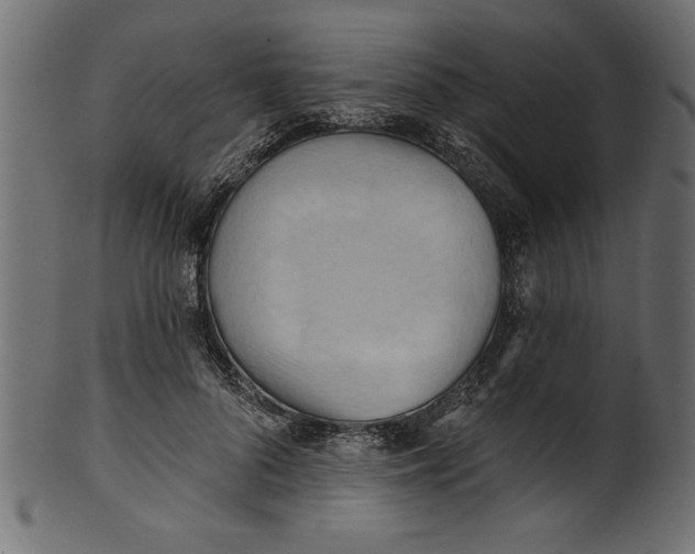 X0000101210696200807181418