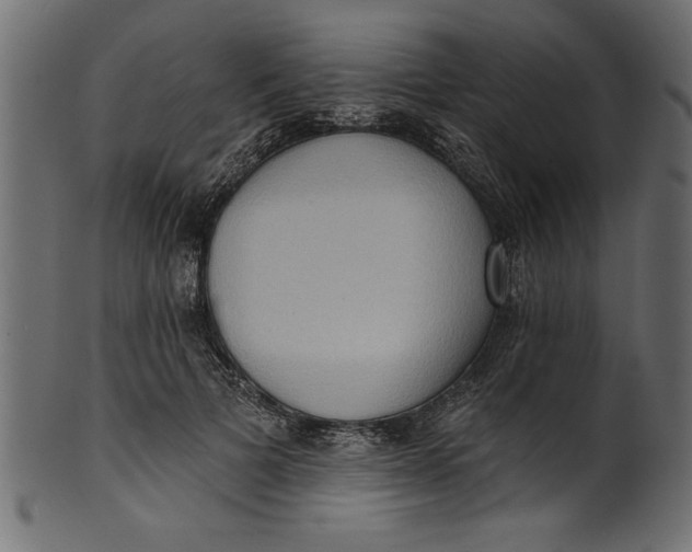 X0000101210697200807181418