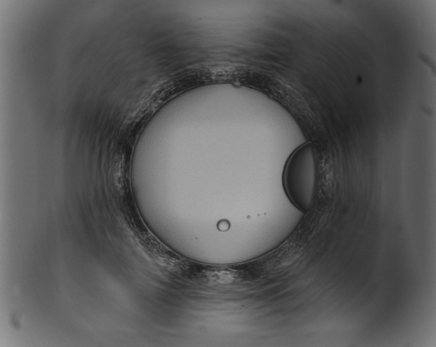 X0000101210698200807181418