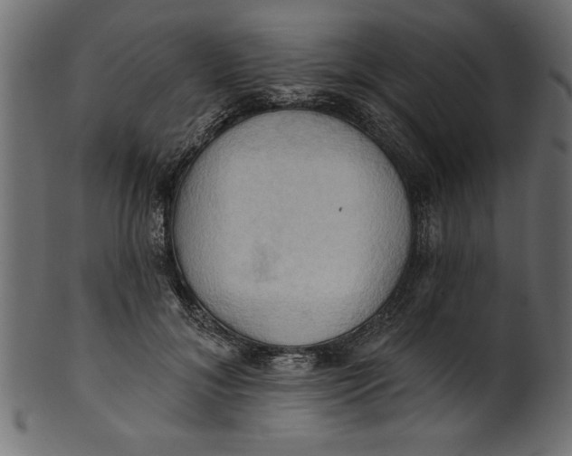 X0000101210700200807181418