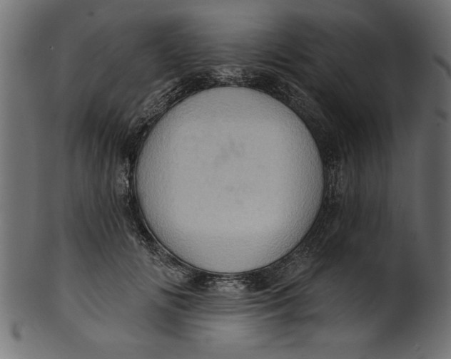 X0000101210702200807181418