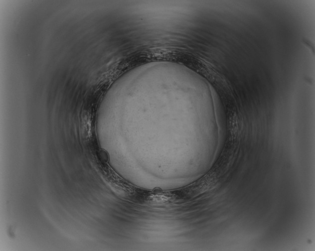 X0000101210703200807181418