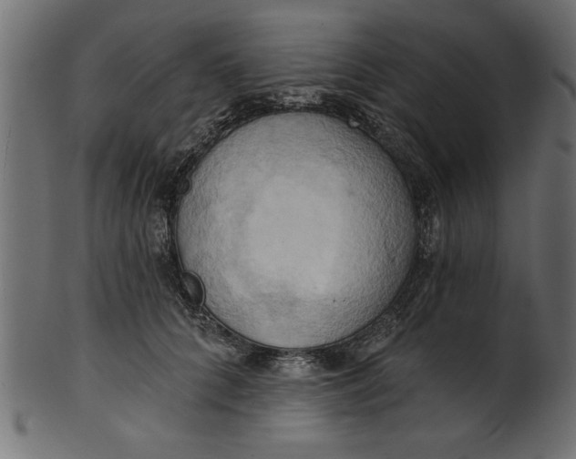 X0000101210704200807181418