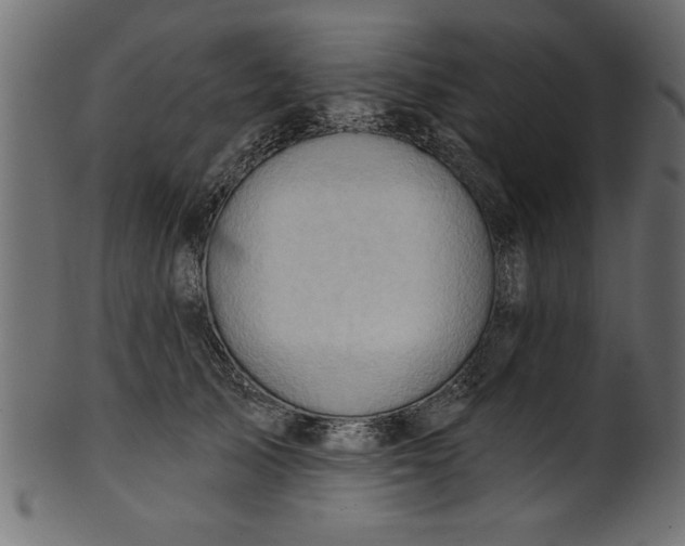 X0000101210705200807181418