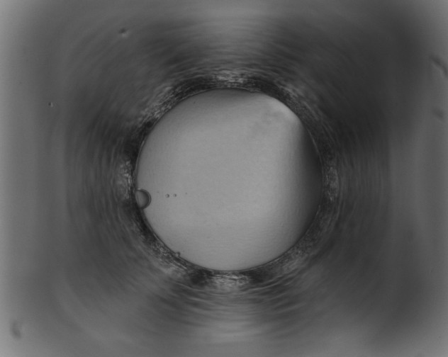 X0000101210707200807181418