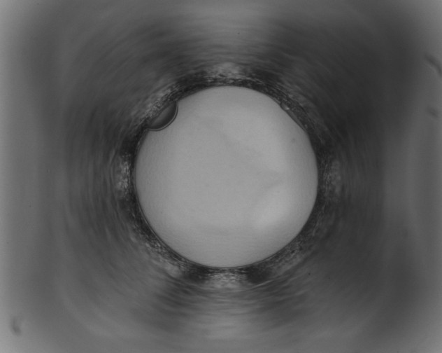 X0000101210708200807181418